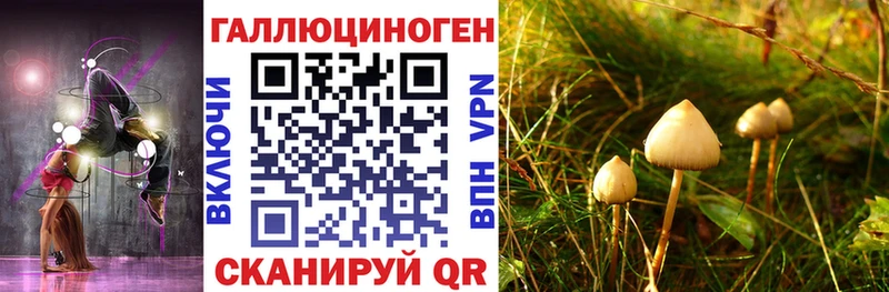 Галлюциногенные грибы Psilocybe  даркнет сайт  Торжок 