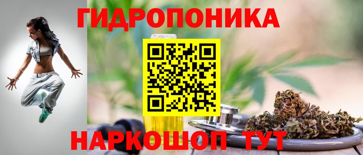 Каннабис планчик Торжок